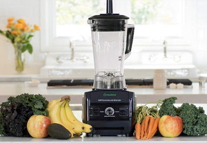 a vitamix blender alternatives