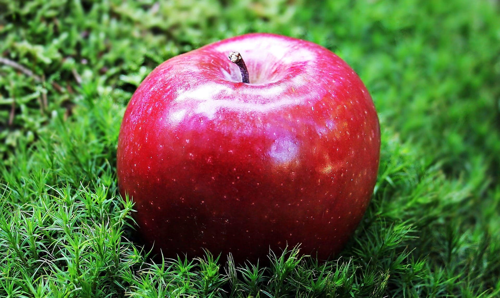 Red Delicious apple