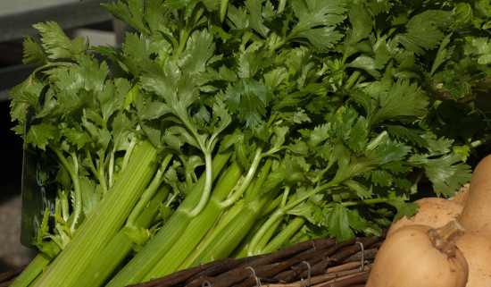 celery