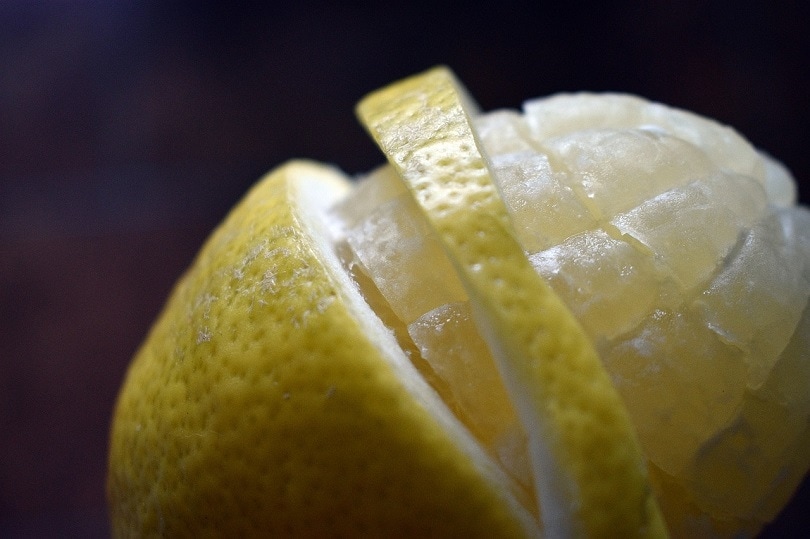 lemon-pixabay