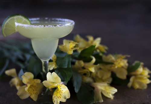 blender for margarita
