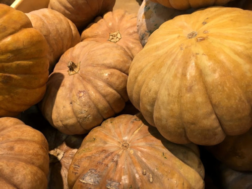 squash