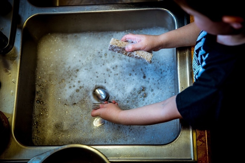 washing-dishes-pixabay