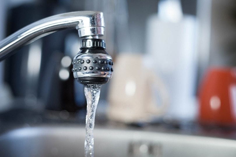 water rinsing-pixabay