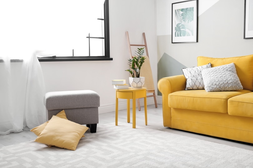 Living room interior