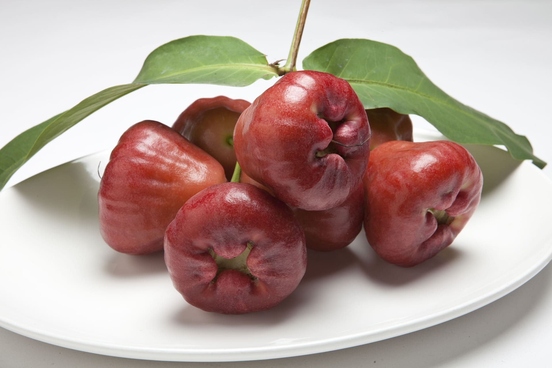 Rose Apple
