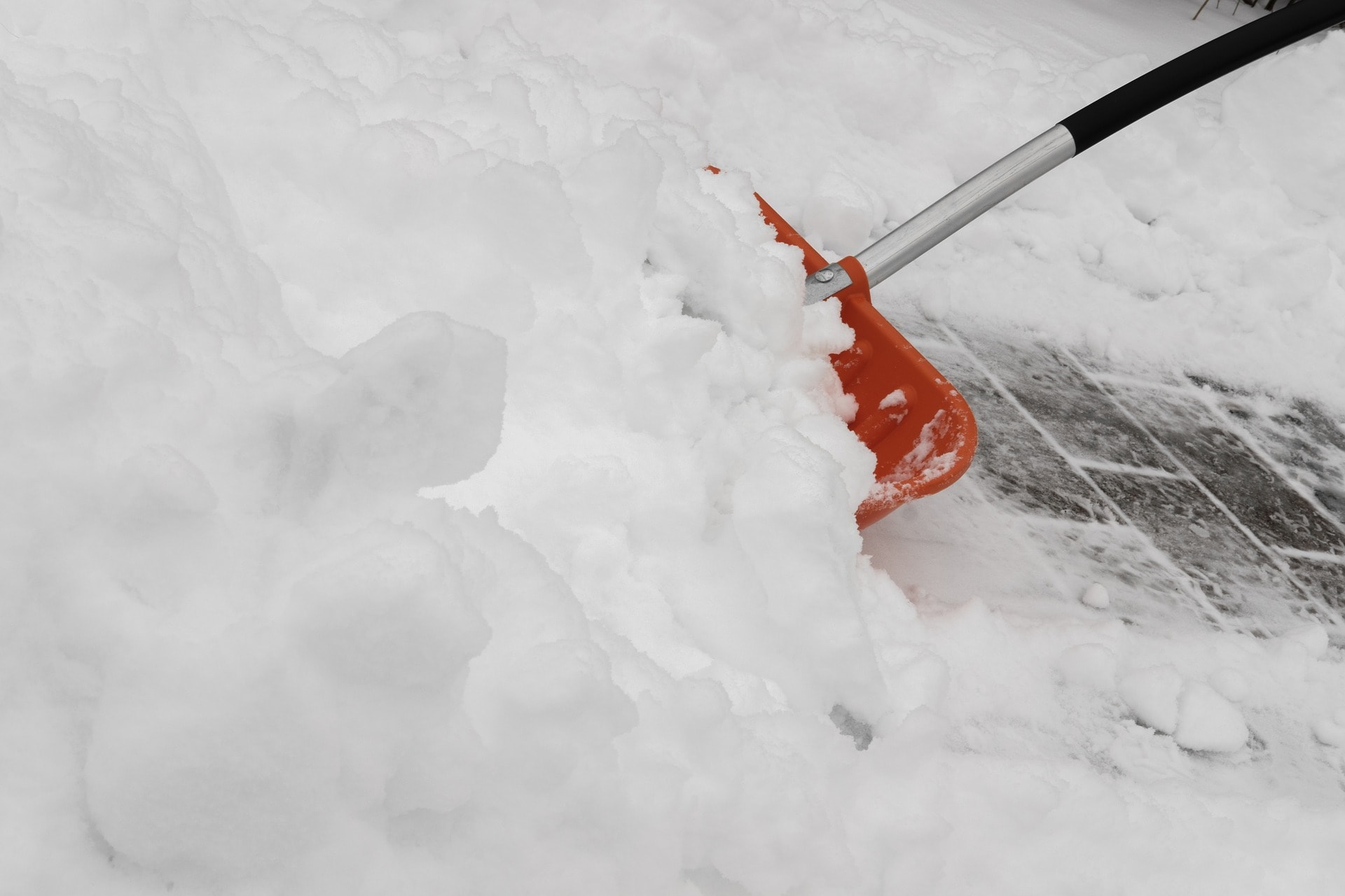 Shoveling Snow closeup