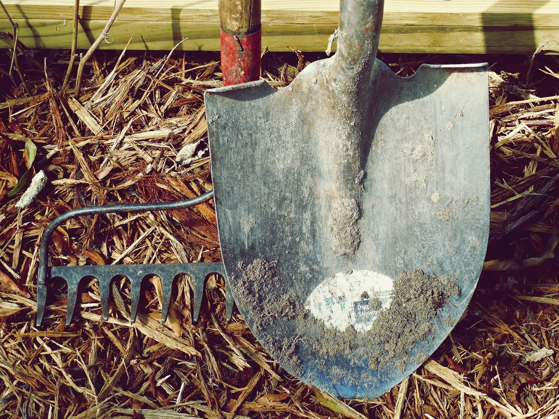 Shoveling