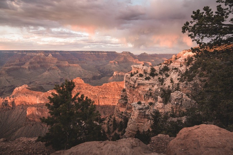 arizona