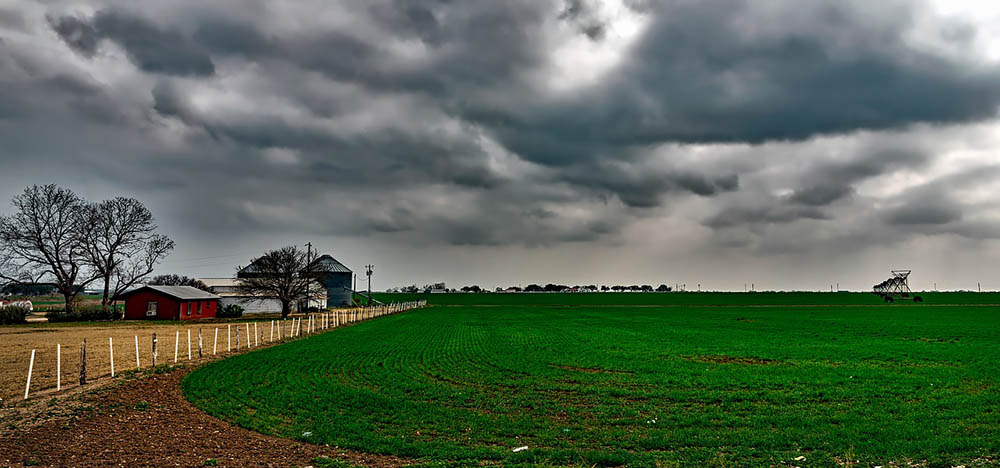 farm land in texas