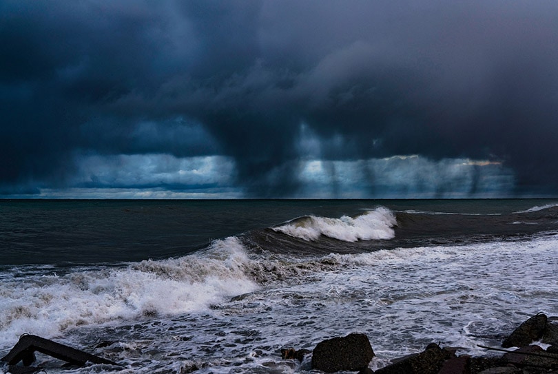 hurricane