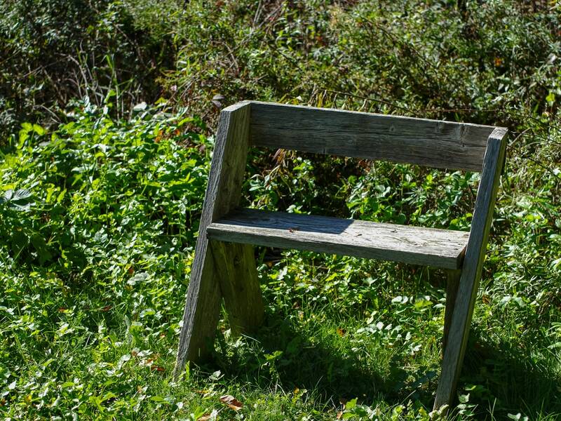 An,Old,Wood,Bench,On,Grass,Near,Bushes,At,Yellowstone, leopold bench