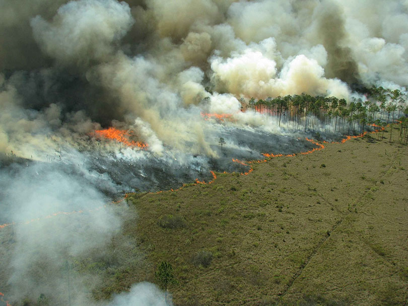 top view of a wild fire