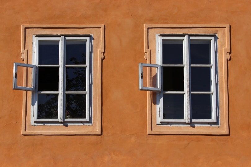 windows