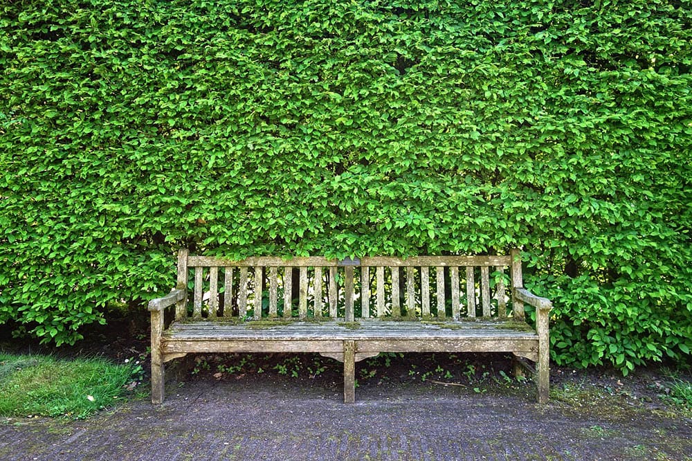 wooden bench outdoor