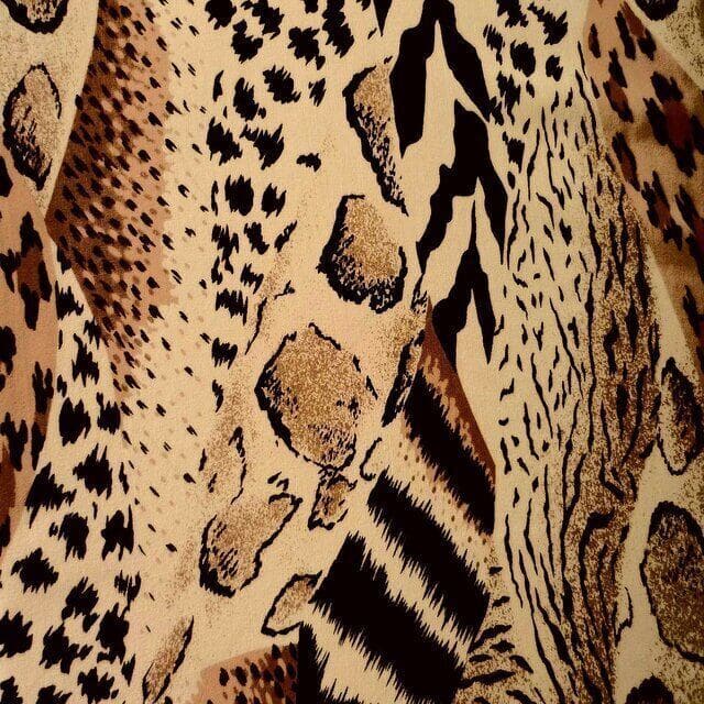 Animal Print wall