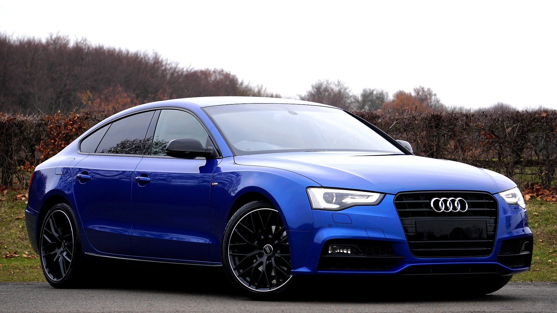 Audi Blue Car