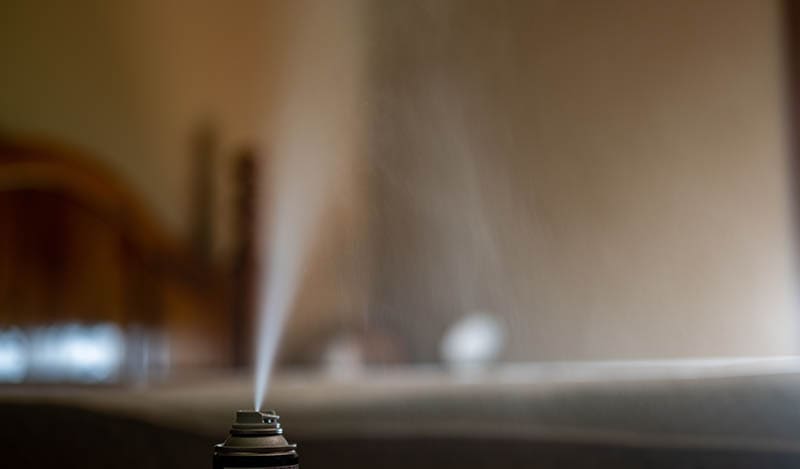 Insecticide aerosol can fogger used to kill bed bugs