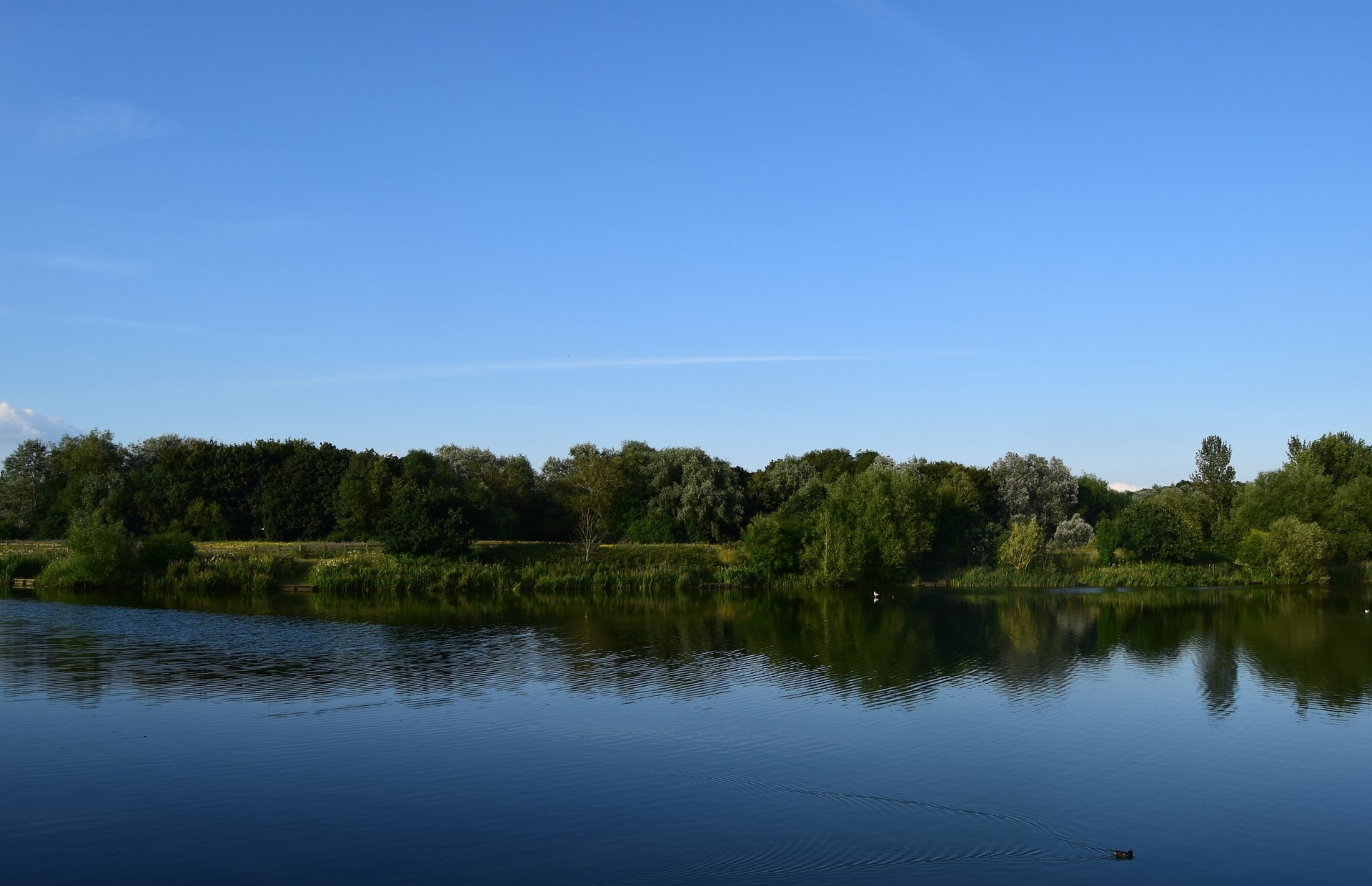 Milton, MA