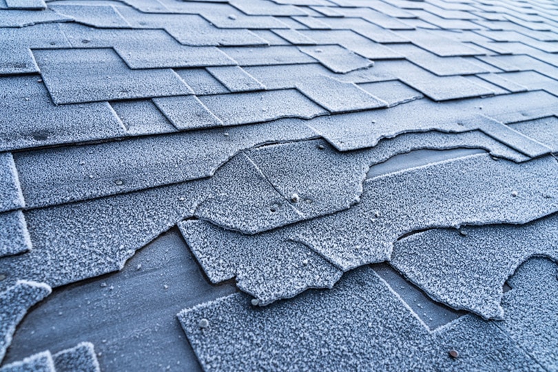 Roof Durability