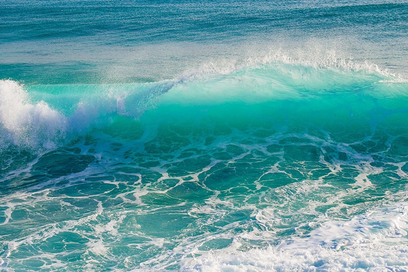 Sea Waves
