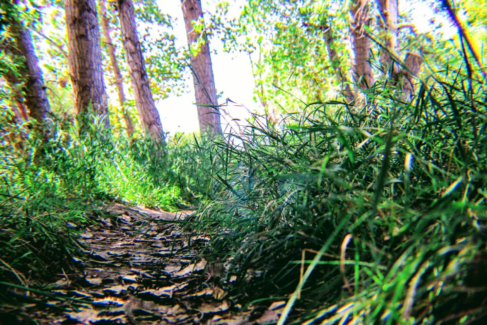 Walking path by the North Platte river. In Torrington Wyoming