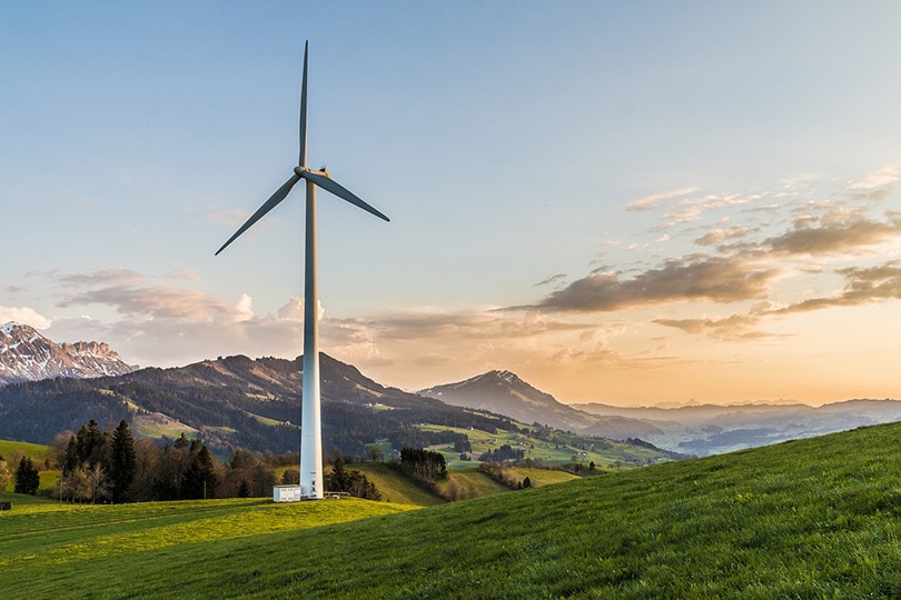 Windmill in the field