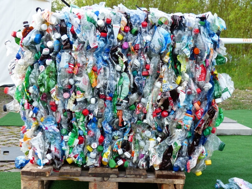 assorted plastic bottle