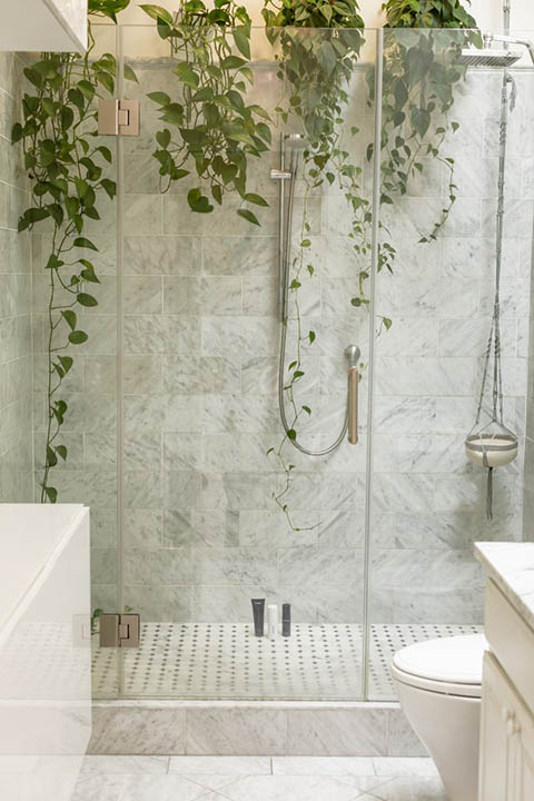 bathroom with plants