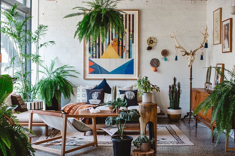 biophilic living room