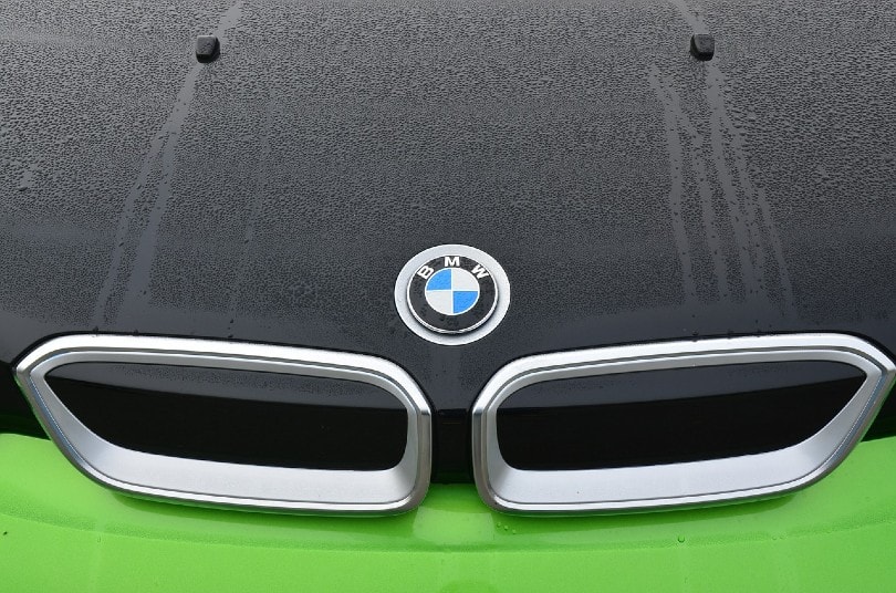 bmw logo on a green and black car