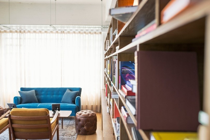 bold colors interior design