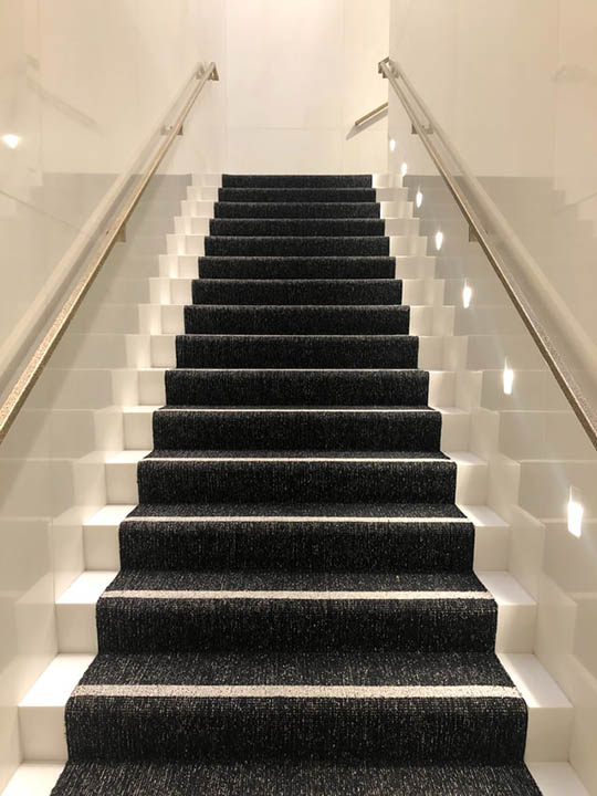 carpeted staircase