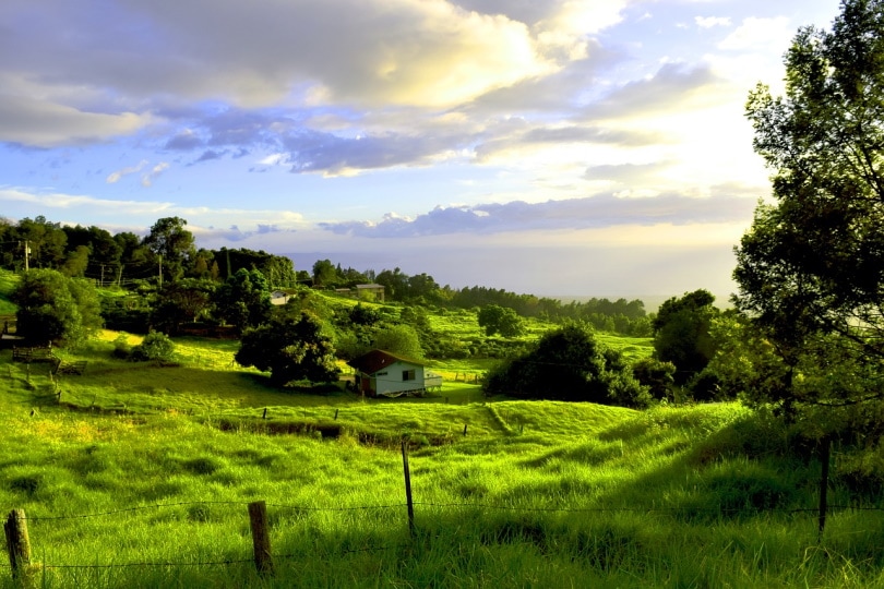 countryside Kula, HI