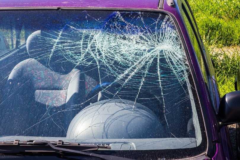 damaged car windshield