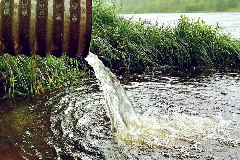 dirty wastewater pipe