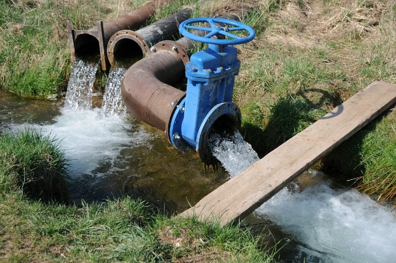 drainage