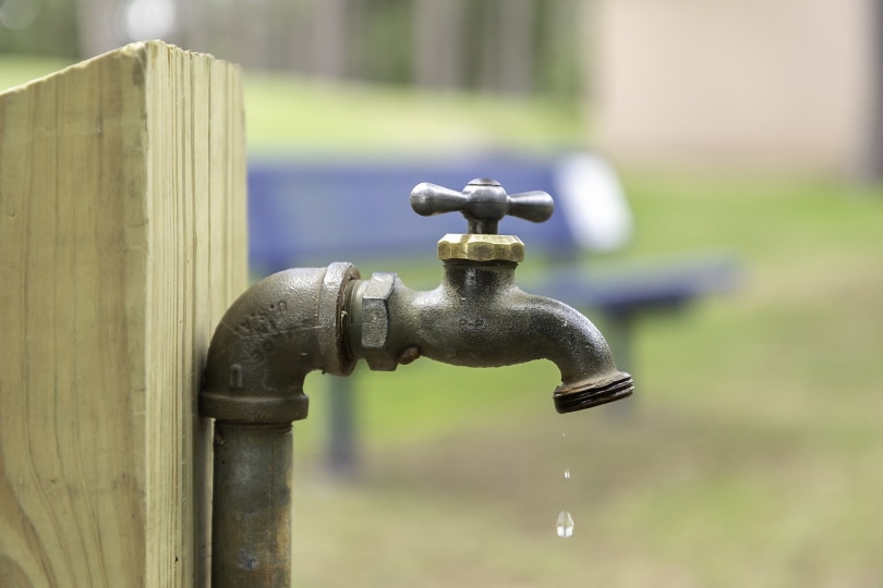 faucet leaking