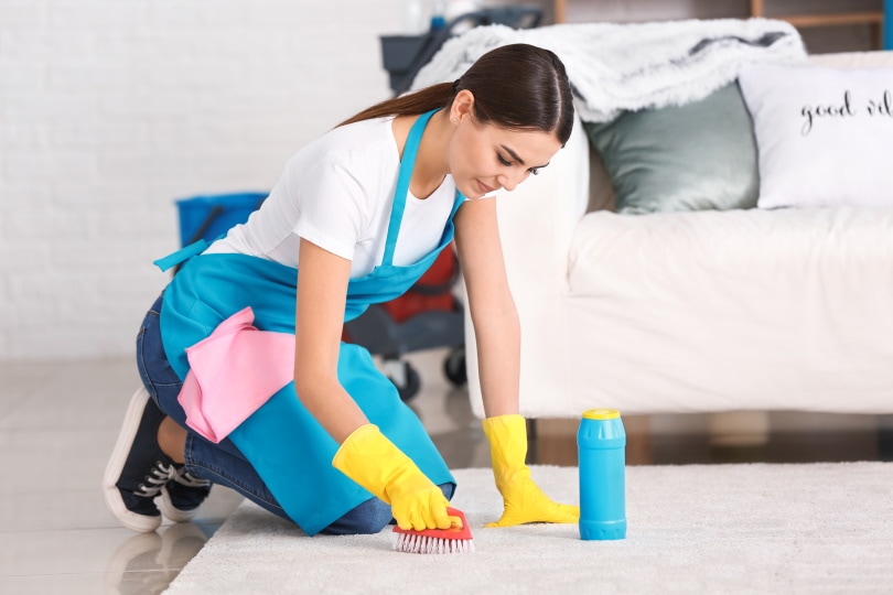 female worker cleaning carpet