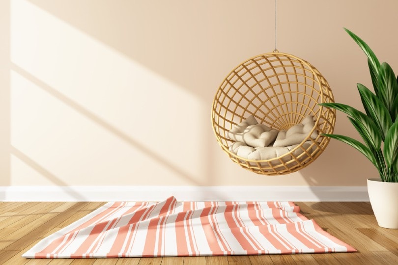 hanging chair in the living room