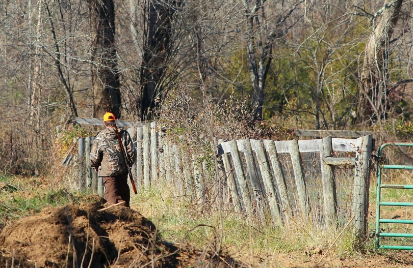 hunter