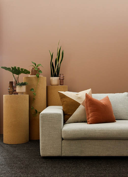 lounge area with terracotta wall color