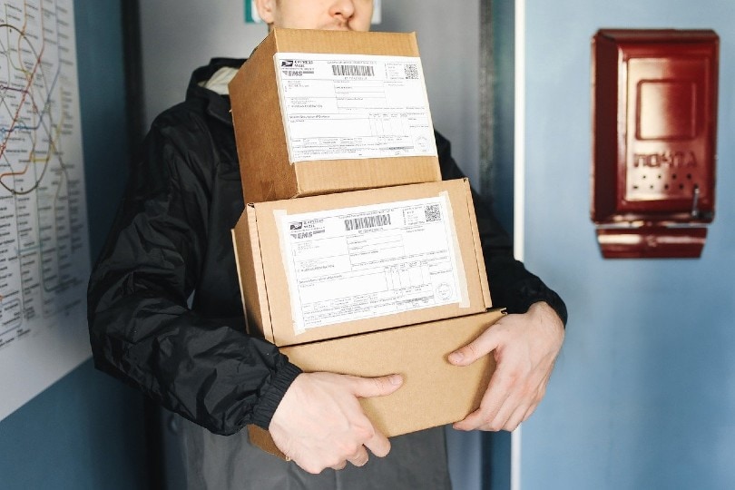 man carrying delivery packages