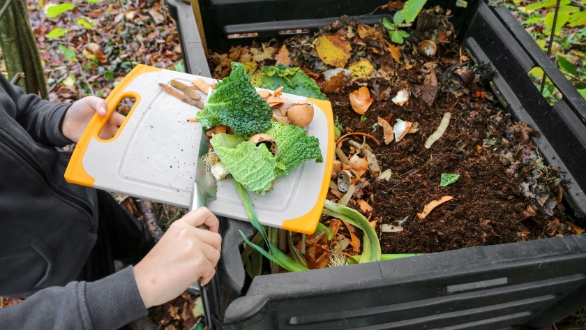 organic waste