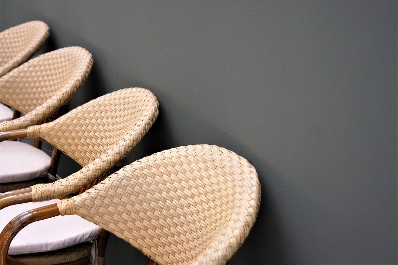 rattan chairs