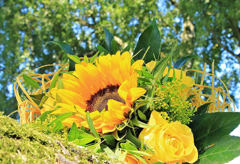 sunflower and yellow roses