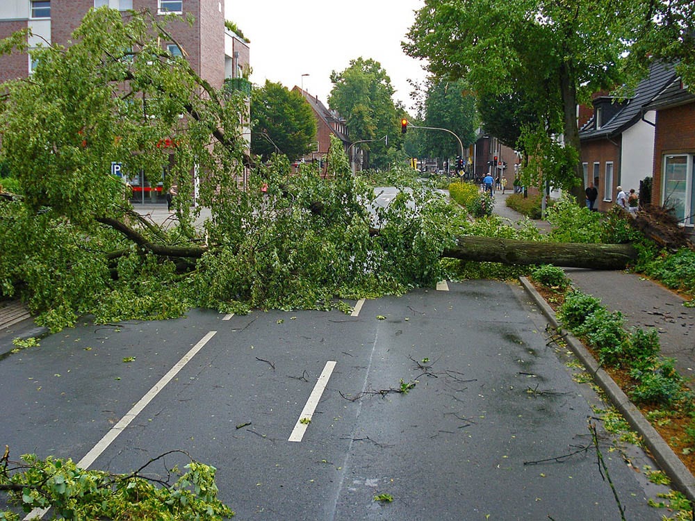 thunderstorm aftermath