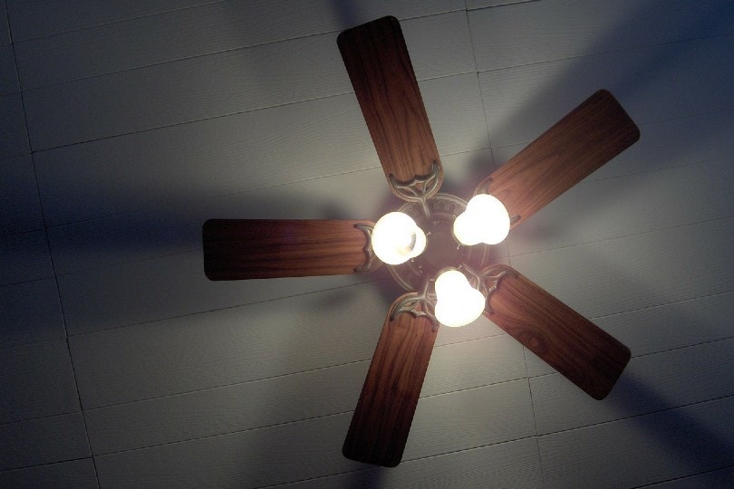 vintage ceiling fan