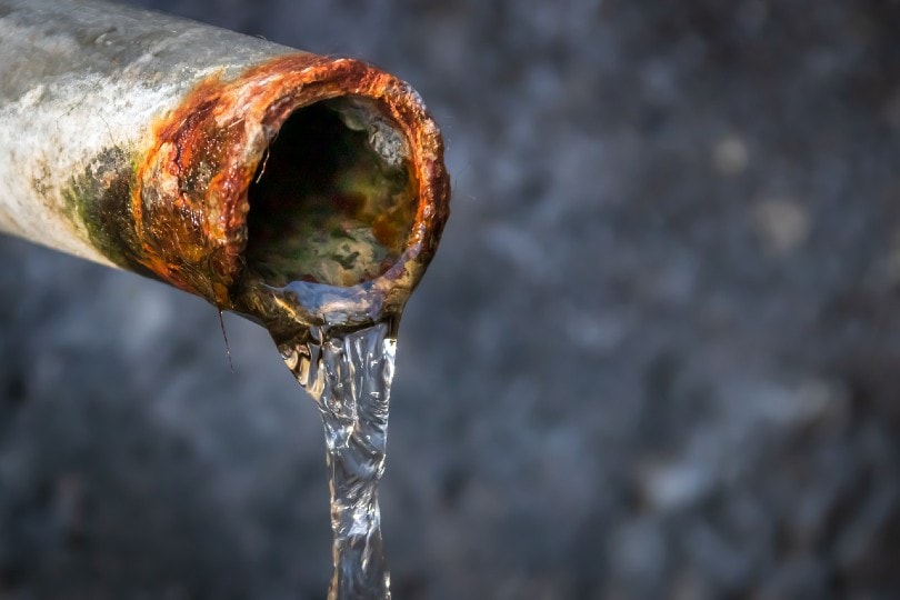 wastewater coming out from rusty pipe