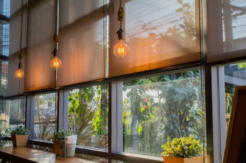 windows roll blinds